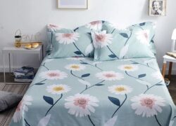 eabeae326b18ac264dd096e3c3a352fc